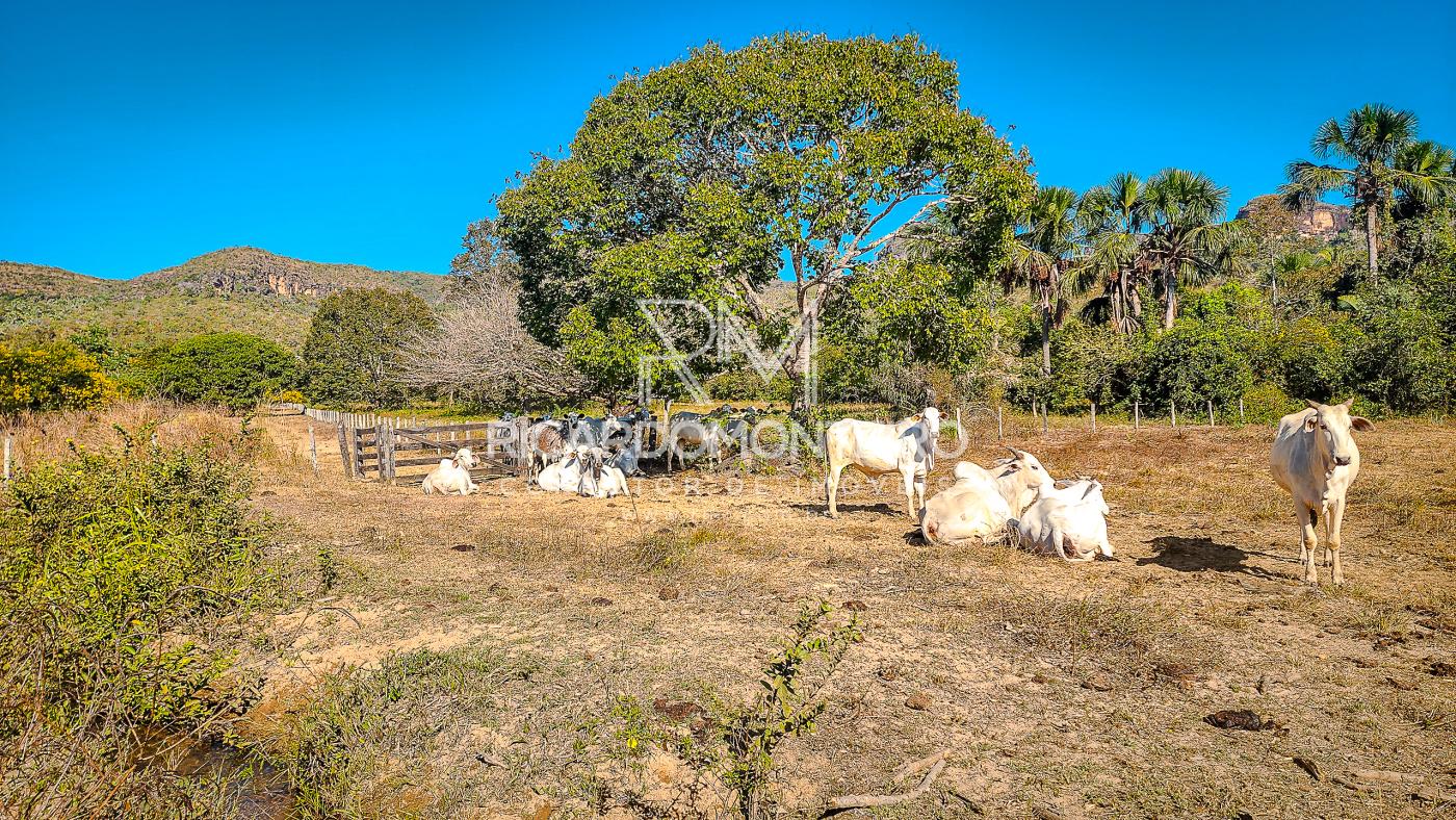 Chácara à venda, 440m² - Foto 15